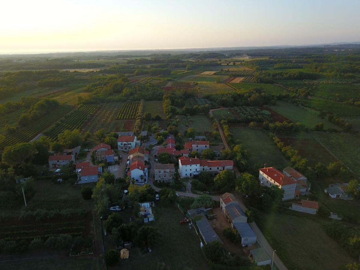 The Village Novigrad Istria Eksteriør bilde